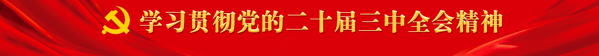 学习贯彻党的二十届三中全会精神