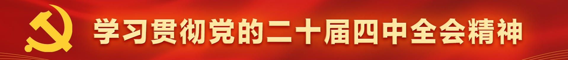 学习贯彻党的二十届四中全会精神